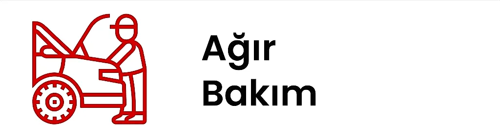 ağır bakım