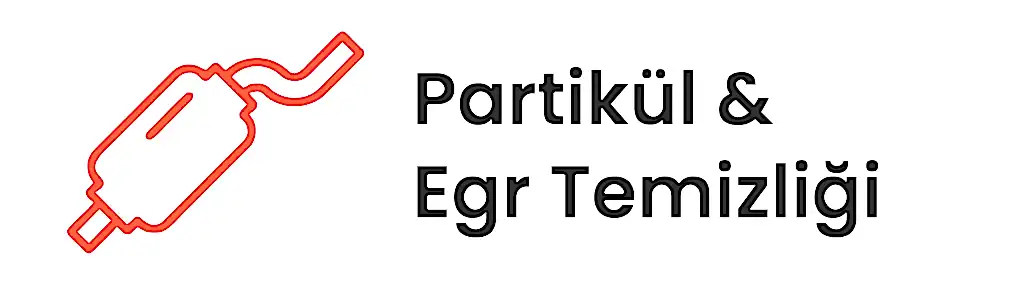 partikül temizliği ve egr temizliği